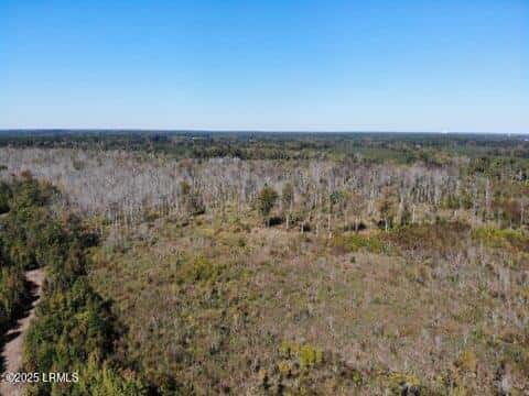 Tbd Broxton Bridge Road, Bamberg, SC 29003 — photo 9 of 9