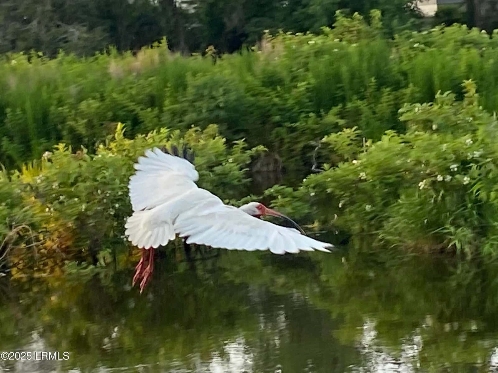 1503 Paris Avenue, Port Royal, SC 29935 — photo 85 of 86