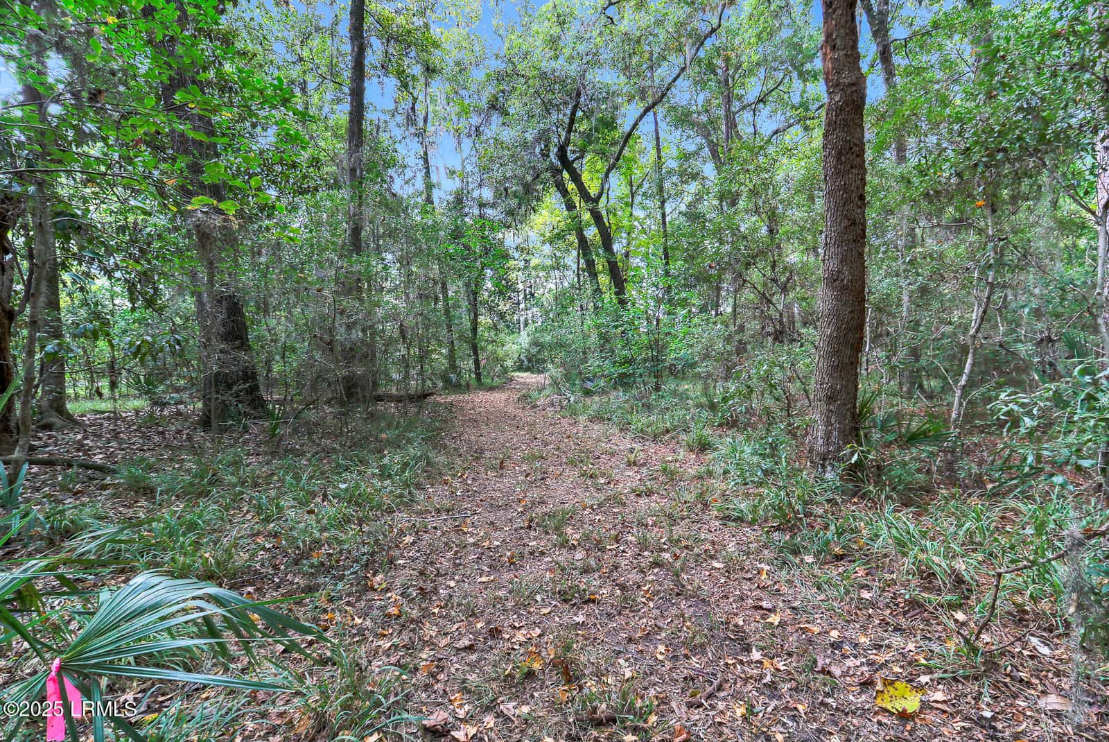 106 Barnaby Bluff, Seabrook, SC 29940 — photo 47 of 49
