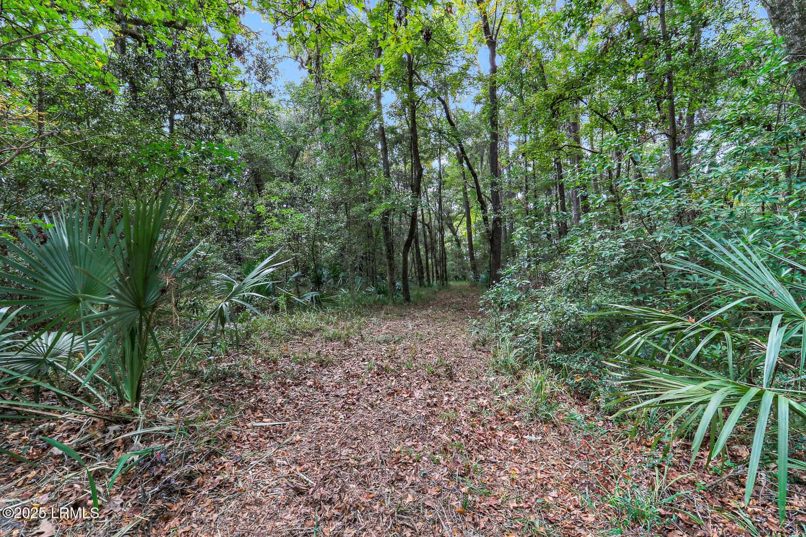 106 Barnaby Bluff, Seabrook, SC 29940 — photo 48 of 49