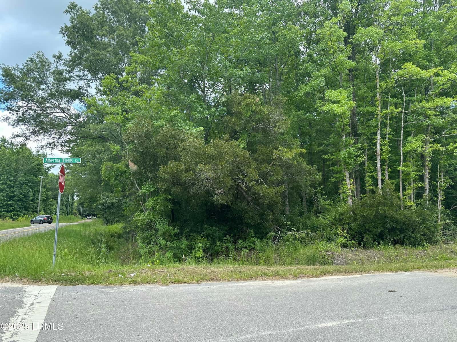 7 Albertha Fields Circle, Yemassee, SC 29945 — photo 11 of 12