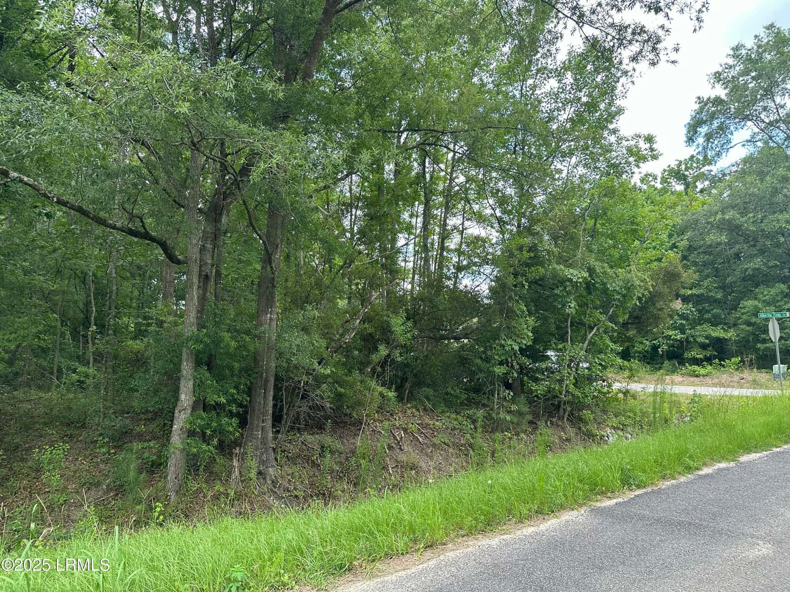 7 Albertha Fields Circle, Yemassee, SC 29945 — photo 12 of 12