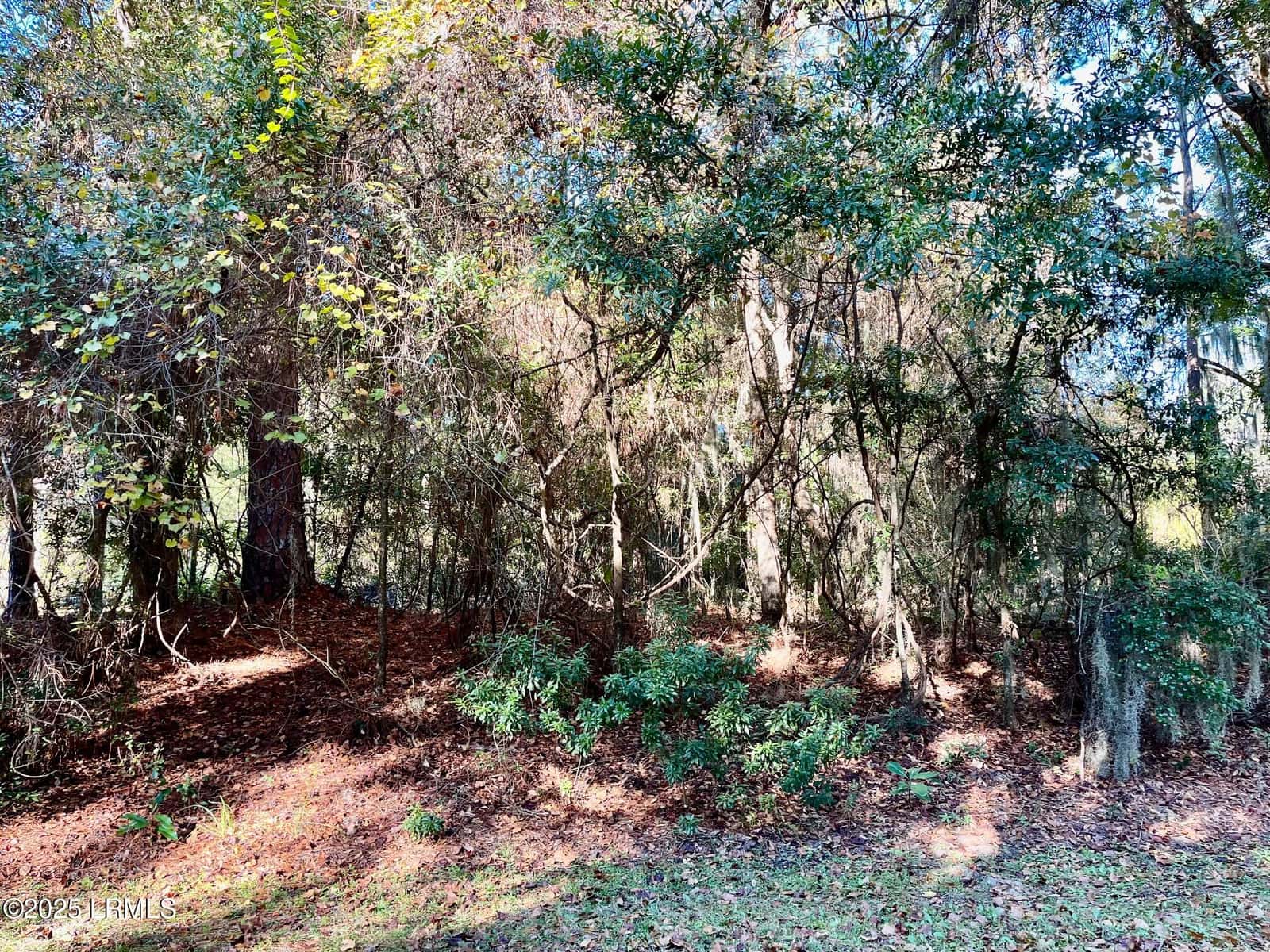 5 Shade Tree Lane, Lady's Island, SC 29907 — photo 1 of 1