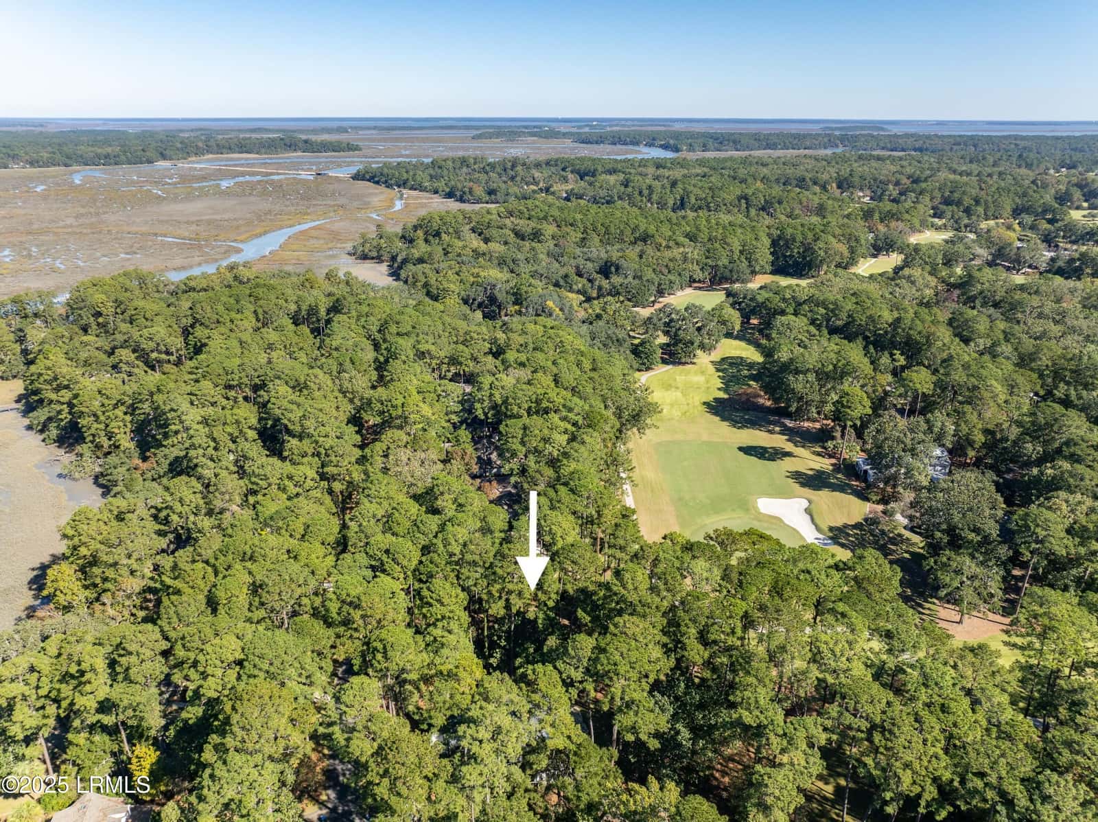 51 Winding Oak Drive, Okatie, SC 29909 — photo 11 of 39