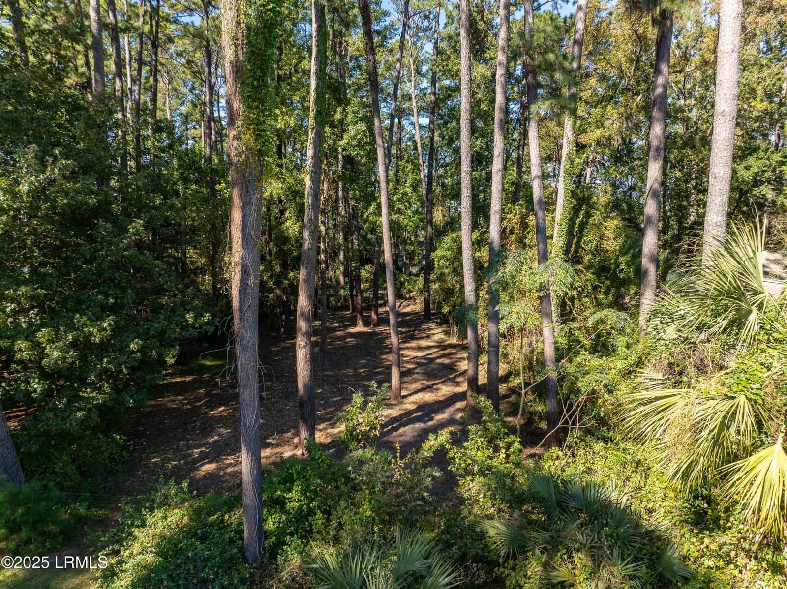 51 Winding Oak Drive, Okatie, SC 29909 — photo 15 of 39