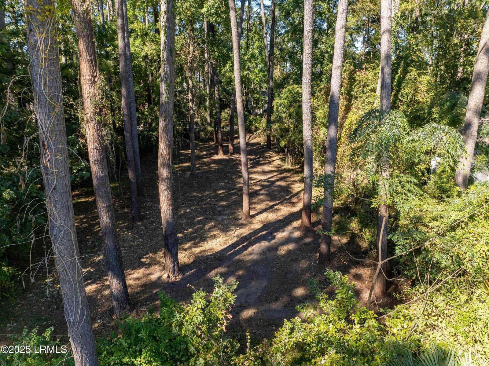 51 Winding Oak Drive, Okatie, SC 29909 — photo 16 of 39