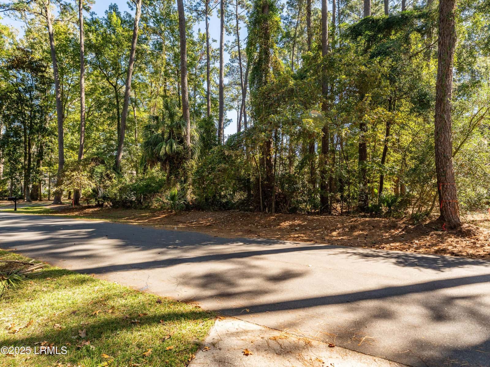 51 Winding Oak Drive, Okatie, SC 29909 — photo 2 of 39
