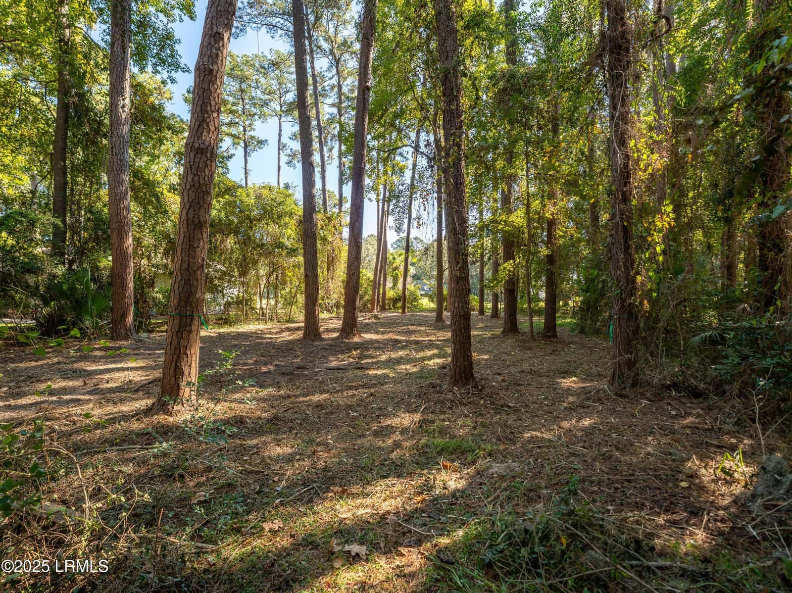 51 Winding Oak Drive, Okatie, SC 29909 — photo 3 of 39