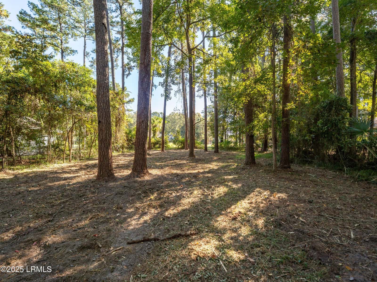 51 Winding Oak Drive, Okatie, SC 29909 — photo 7 of 39
