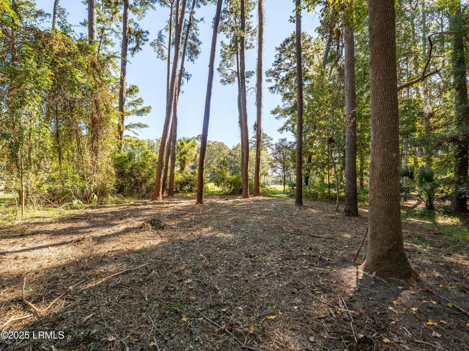 51 Winding Oak Drive, Okatie, SC 29909 — photo 8 of 39