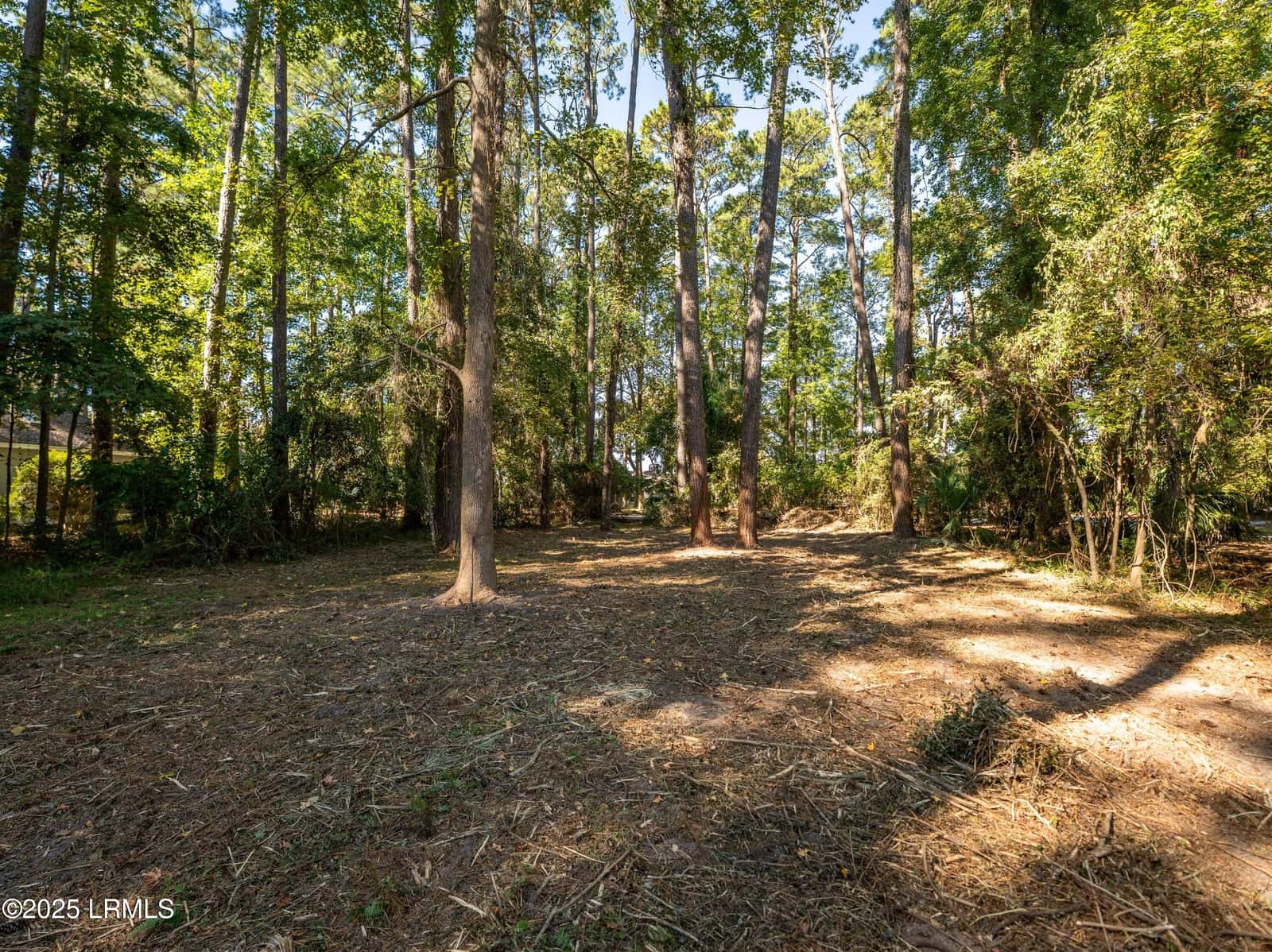51 Winding Oak Drive, Okatie, SC 29909 — photo 9 of 39