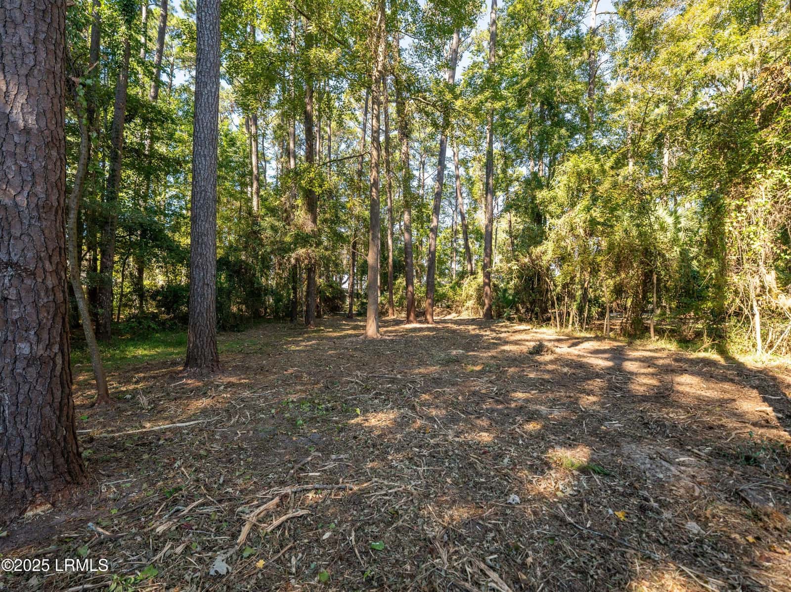 51 Winding Oak Drive, Okatie, SC 29909 — photo 10 of 39