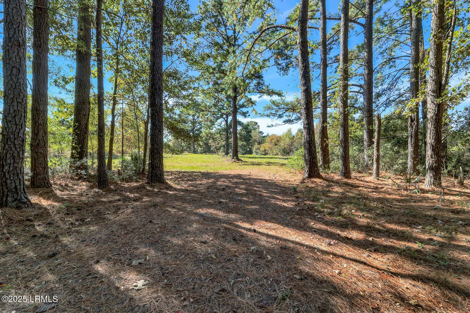782 Strawberry Hill Road, Ridgeland, SC 29936 — photo 2 of 21