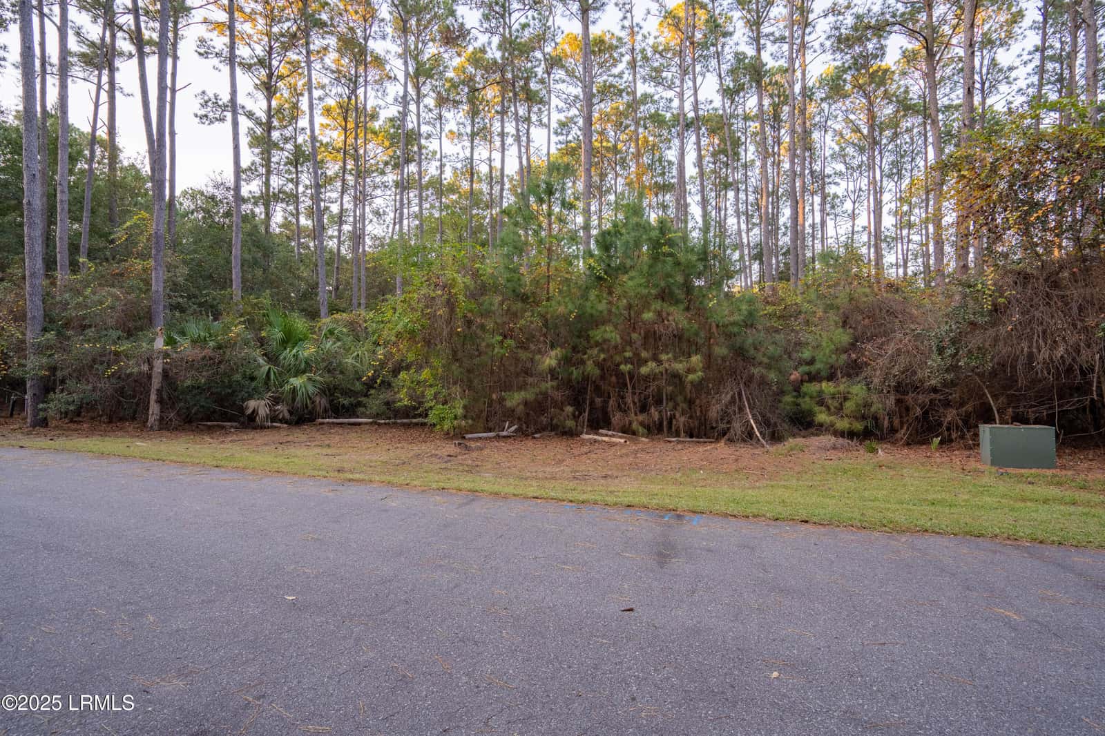 13 Vista Boulevard W, St. Helena Island, SC 29920 — photo 17 of 22