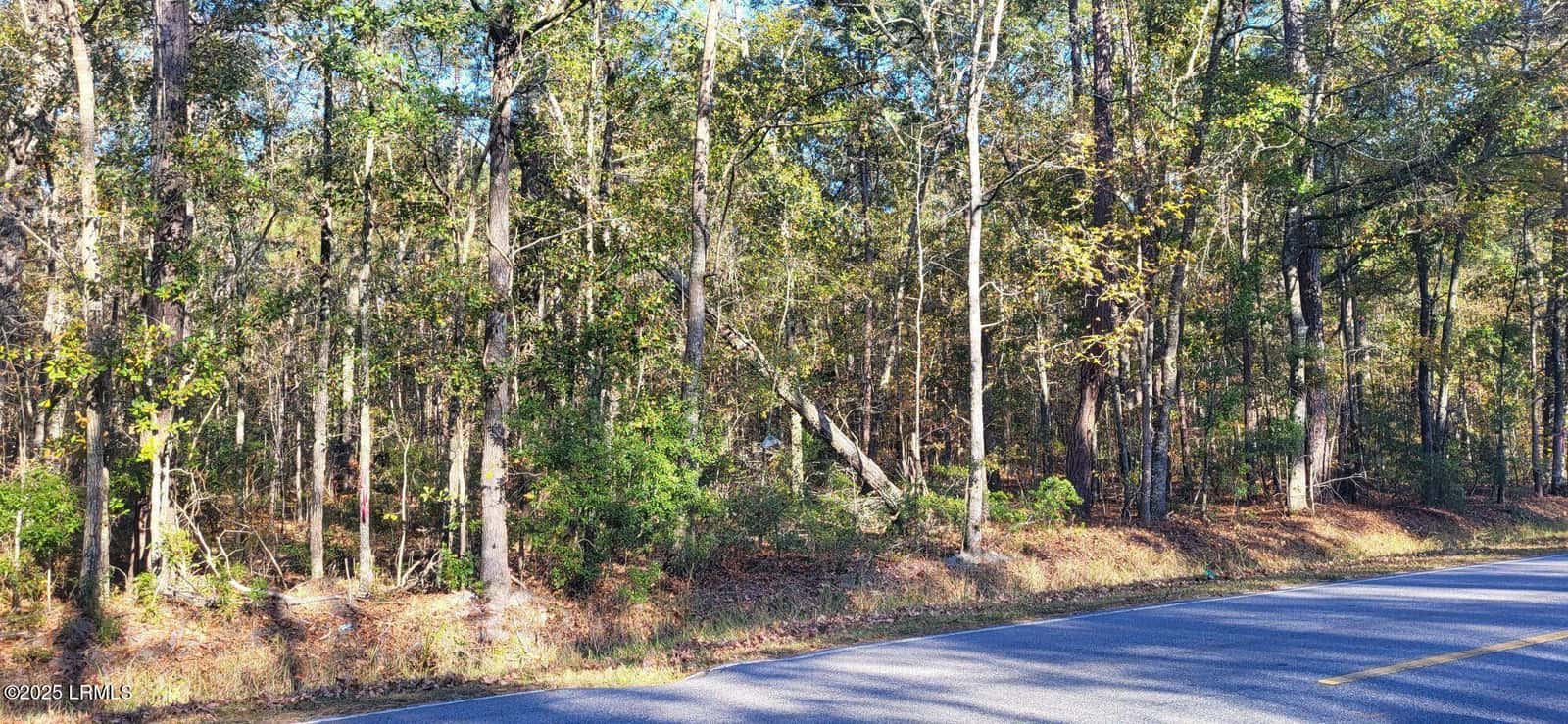409 Wade Hampton Road, Hampton, SC 29924 — photo 1 of 2