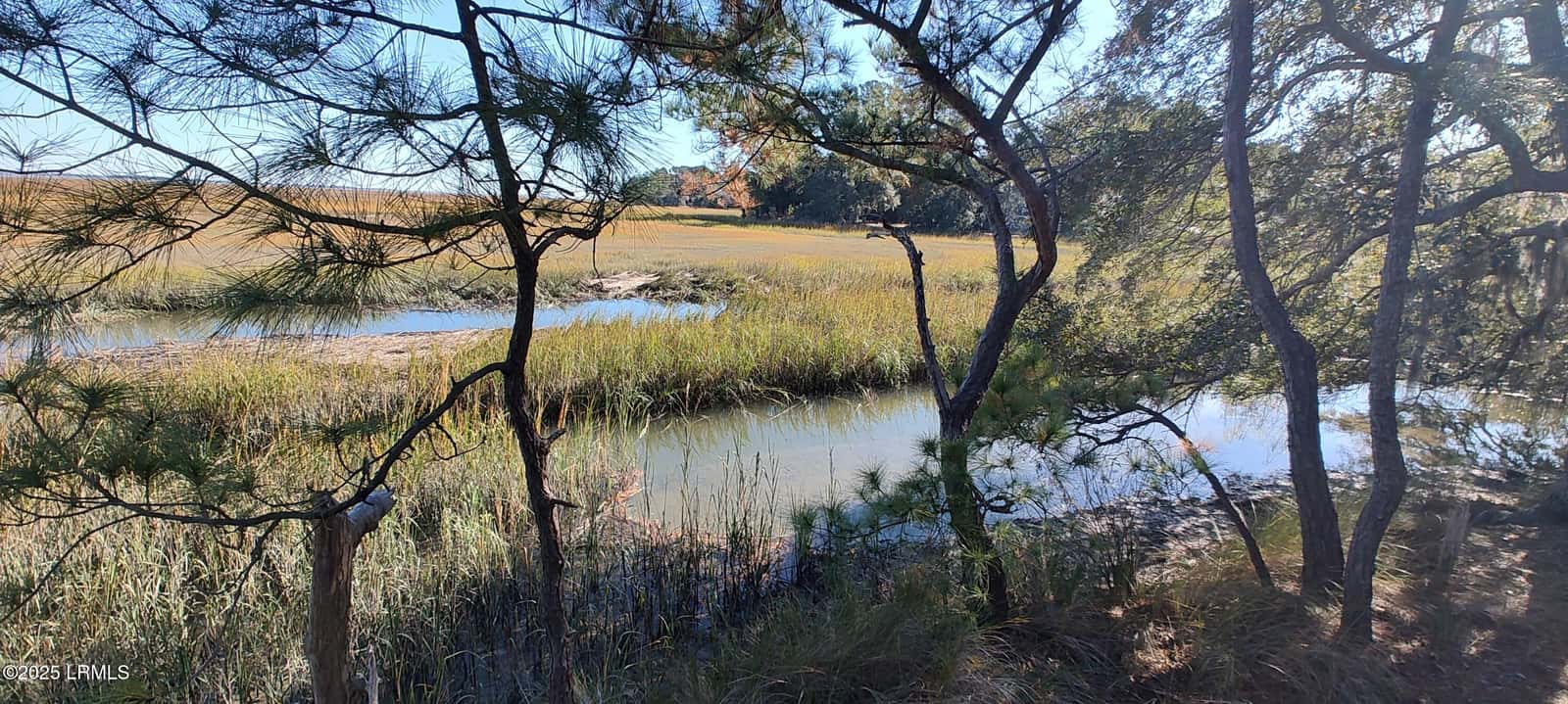 2 Black Skimmer Court, Beaufort, SC 29907 — photo 6 of 13