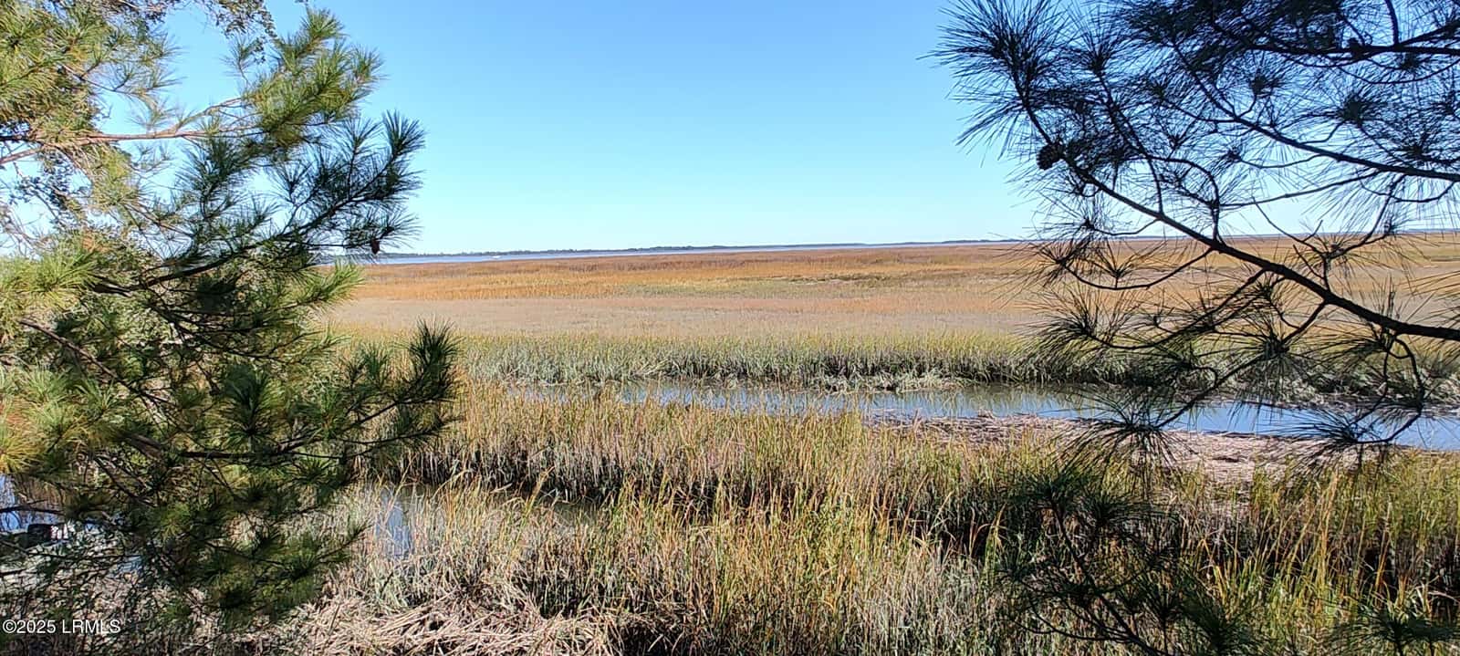 2 Black Skimmer Court, Beaufort, SC 29907 — photo 7 of 13