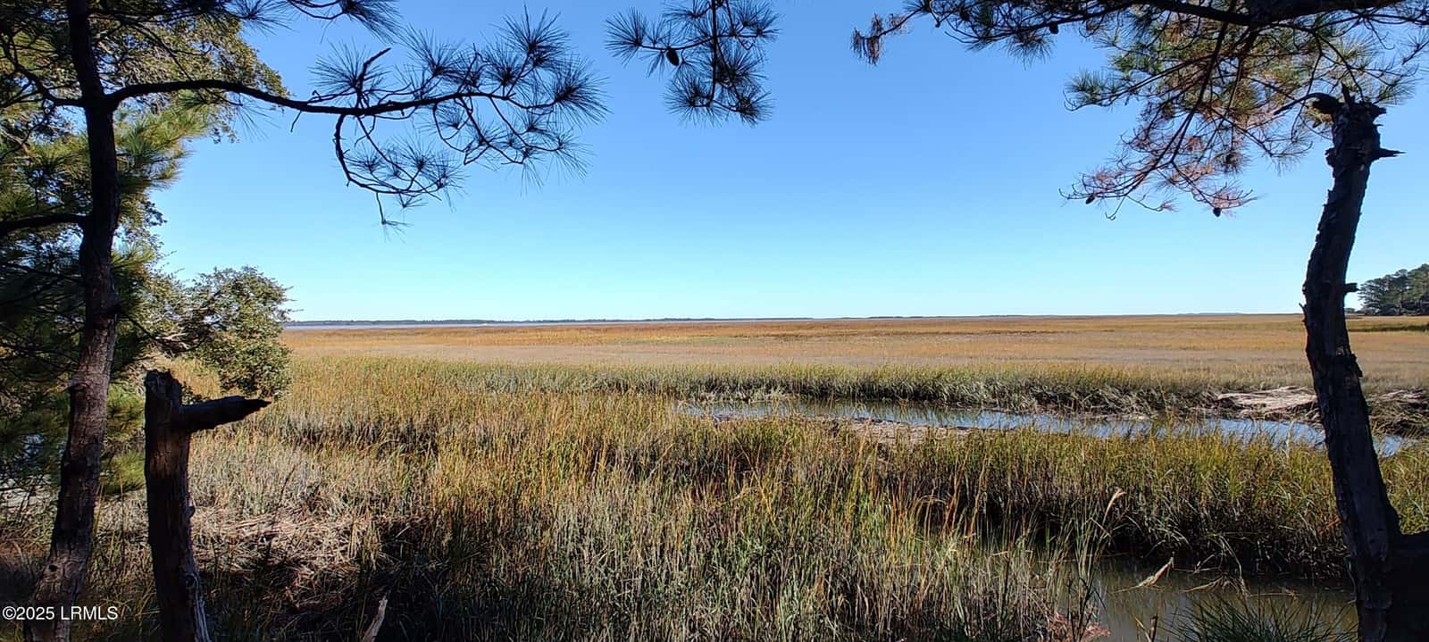 2 Black Skimmer Court, Beaufort, SC 29907 — photo 9 of 13