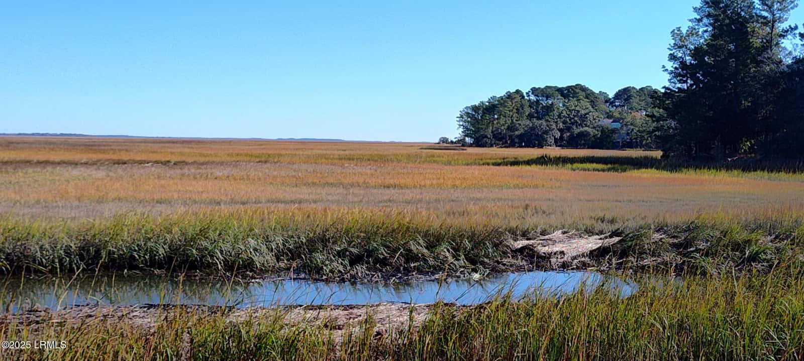 2 Black Skimmer Court, Beaufort, SC 29907 — photo 11 of 13