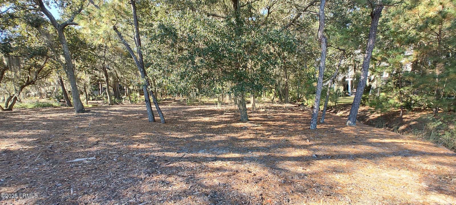 2 Black Skimmer Court, Beaufort, SC 29907 — photo 12 of 13