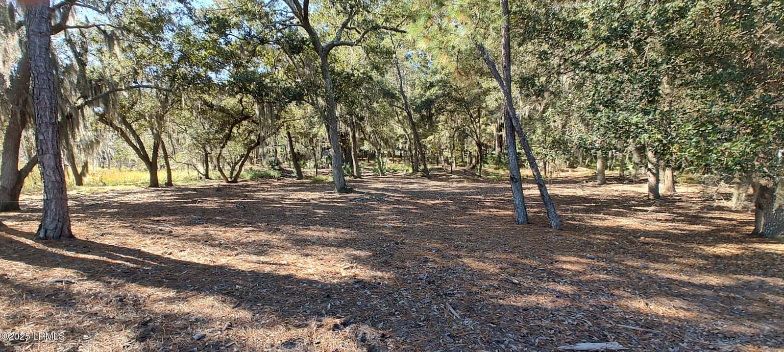 2 Black Skimmer Court, Beaufort, SC 29907 — photo 13 of 13