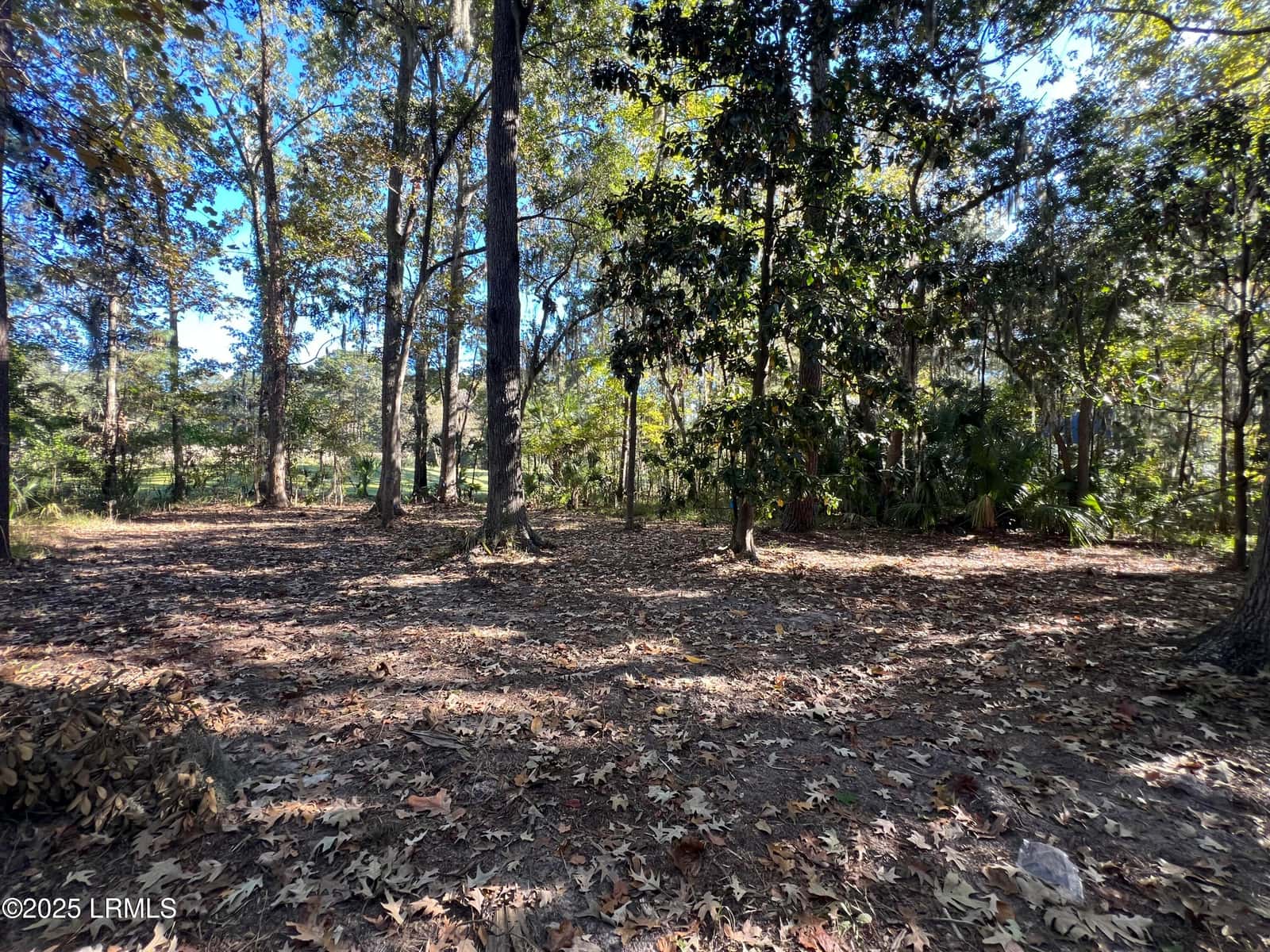 23 River Marsh Lane, Okatie, SC 29909 — photo 9 of 40