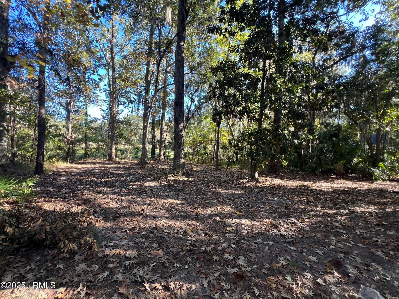 23 River Marsh Lane, Okatie, SC 29909 — photo 10 of 40