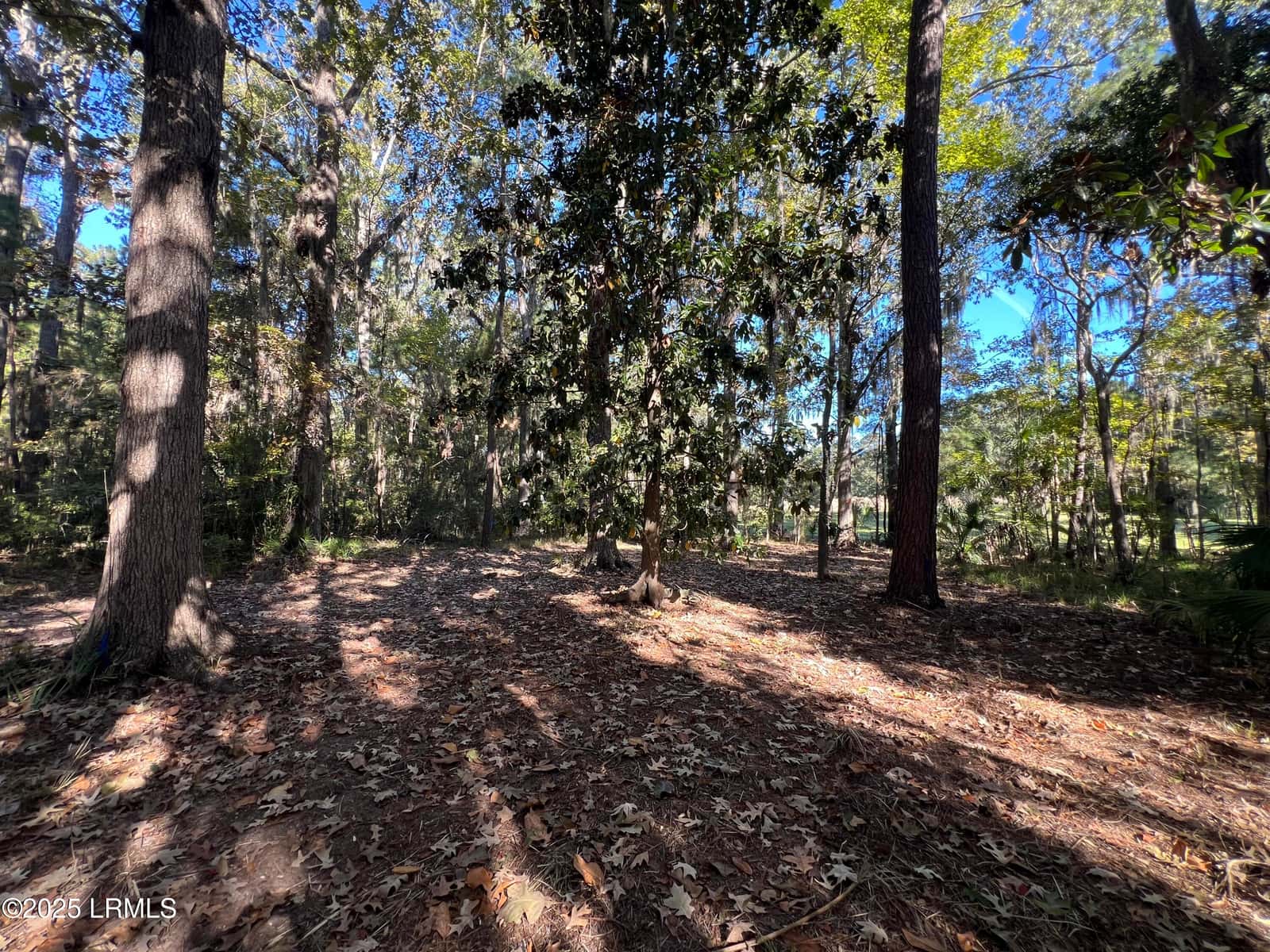 23 River Marsh Lane, Okatie, SC 29909 — photo 11 of 40