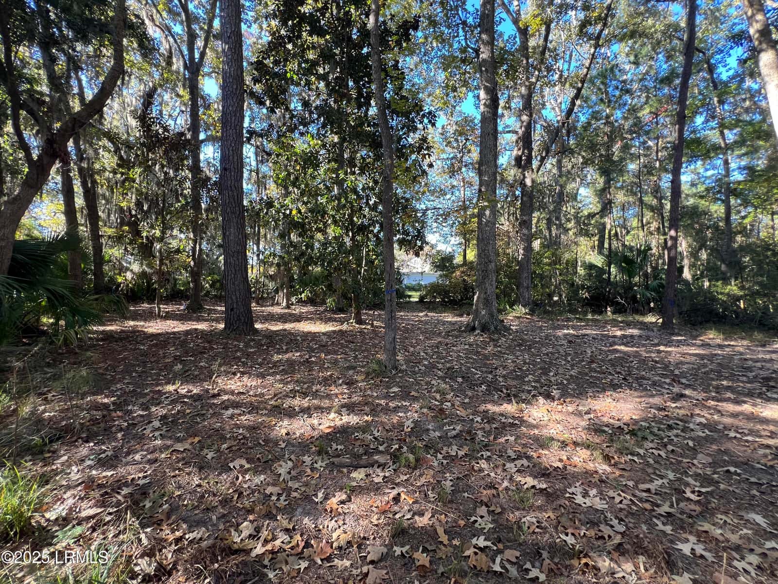 23 River Marsh Lane, Okatie, SC 29909 — photo 12 of 40