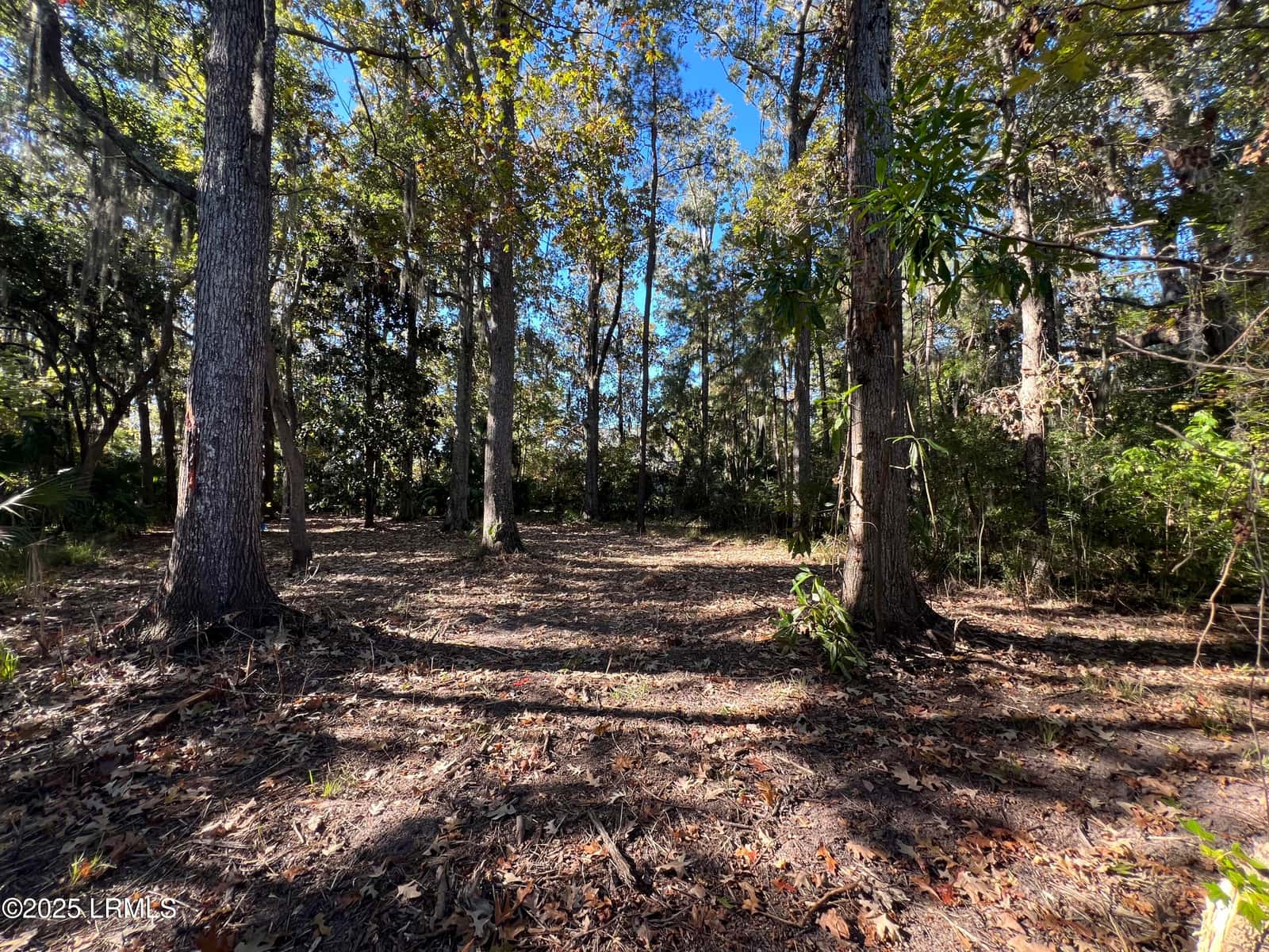 23 River Marsh Lane, Okatie, SC 29909 — photo 13 of 40
