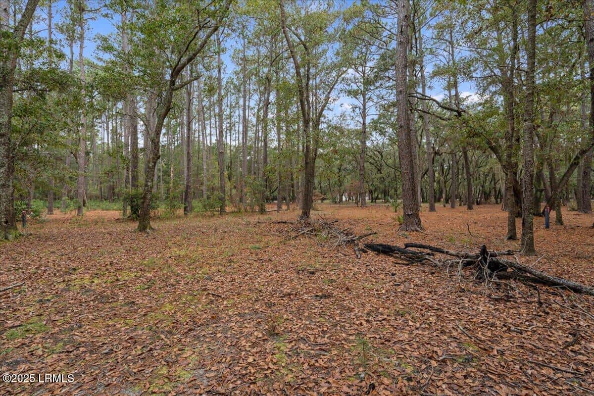 22 Vista Boulevard W, St. Helena Island, SC 29920 — photo 6 of 18