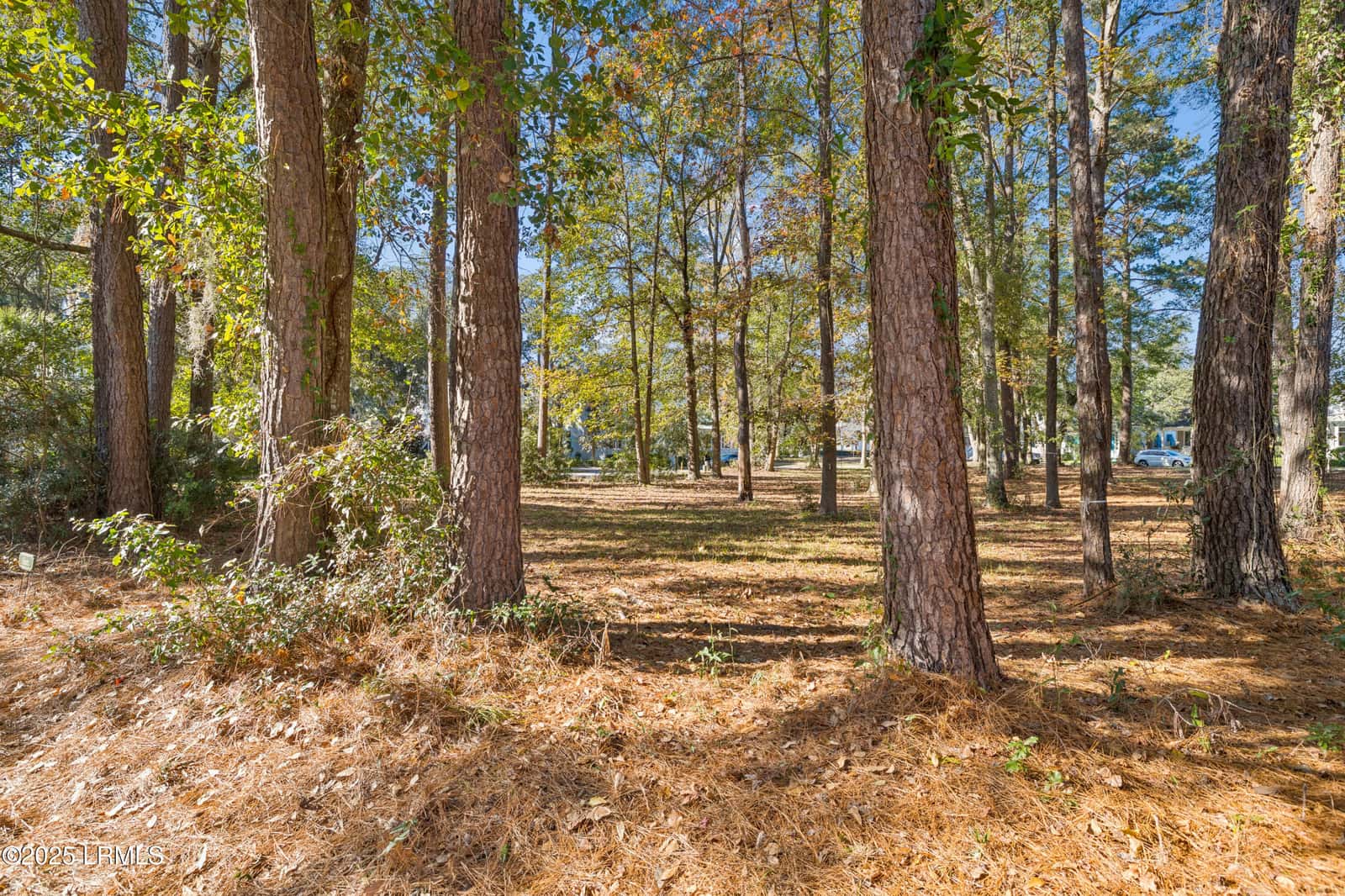 7 N Loudon, Beaufort, SC 29906 — photo 6 of 40