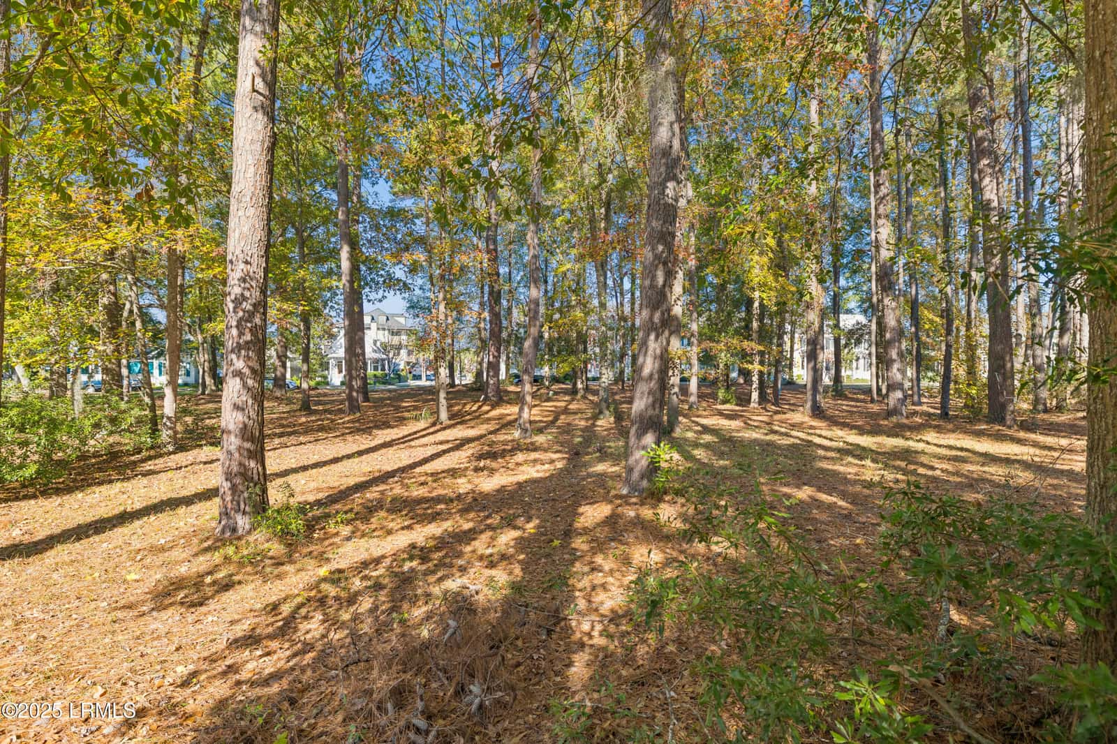 7 N Loudon, Beaufort, SC 29906 — photo 7 of 40