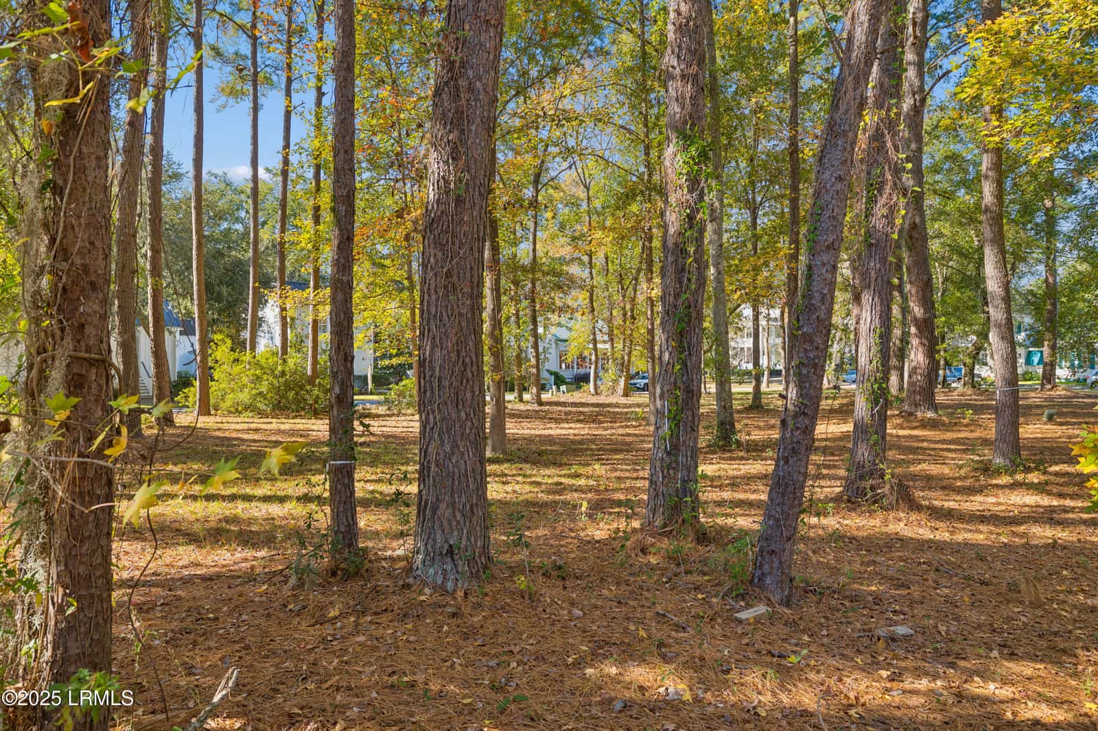 7 N Loudon, Beaufort, SC 29906 — photo 8 of 40