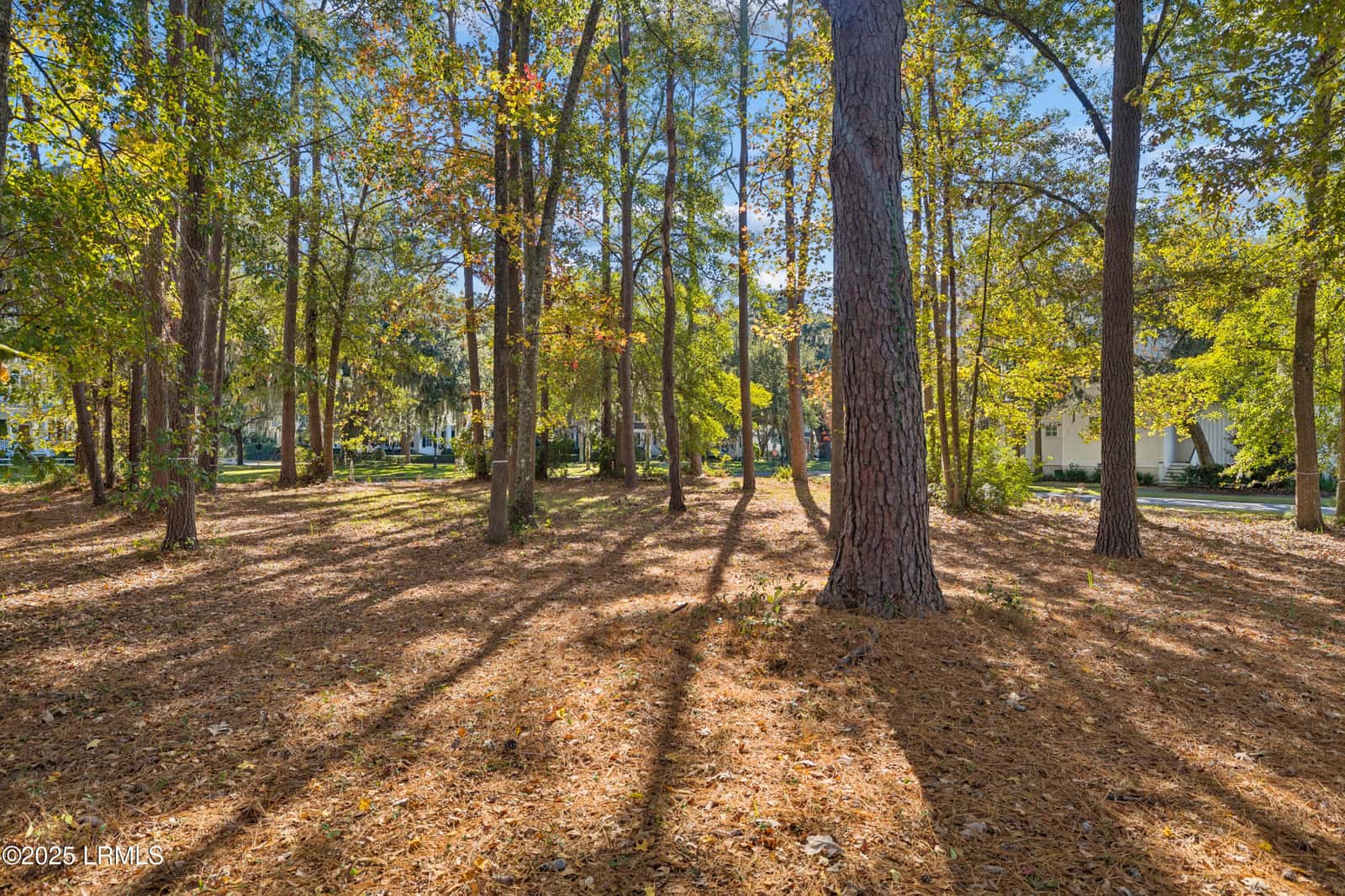 7 N Loudon, Beaufort, SC 29906 — photo 11 of 40