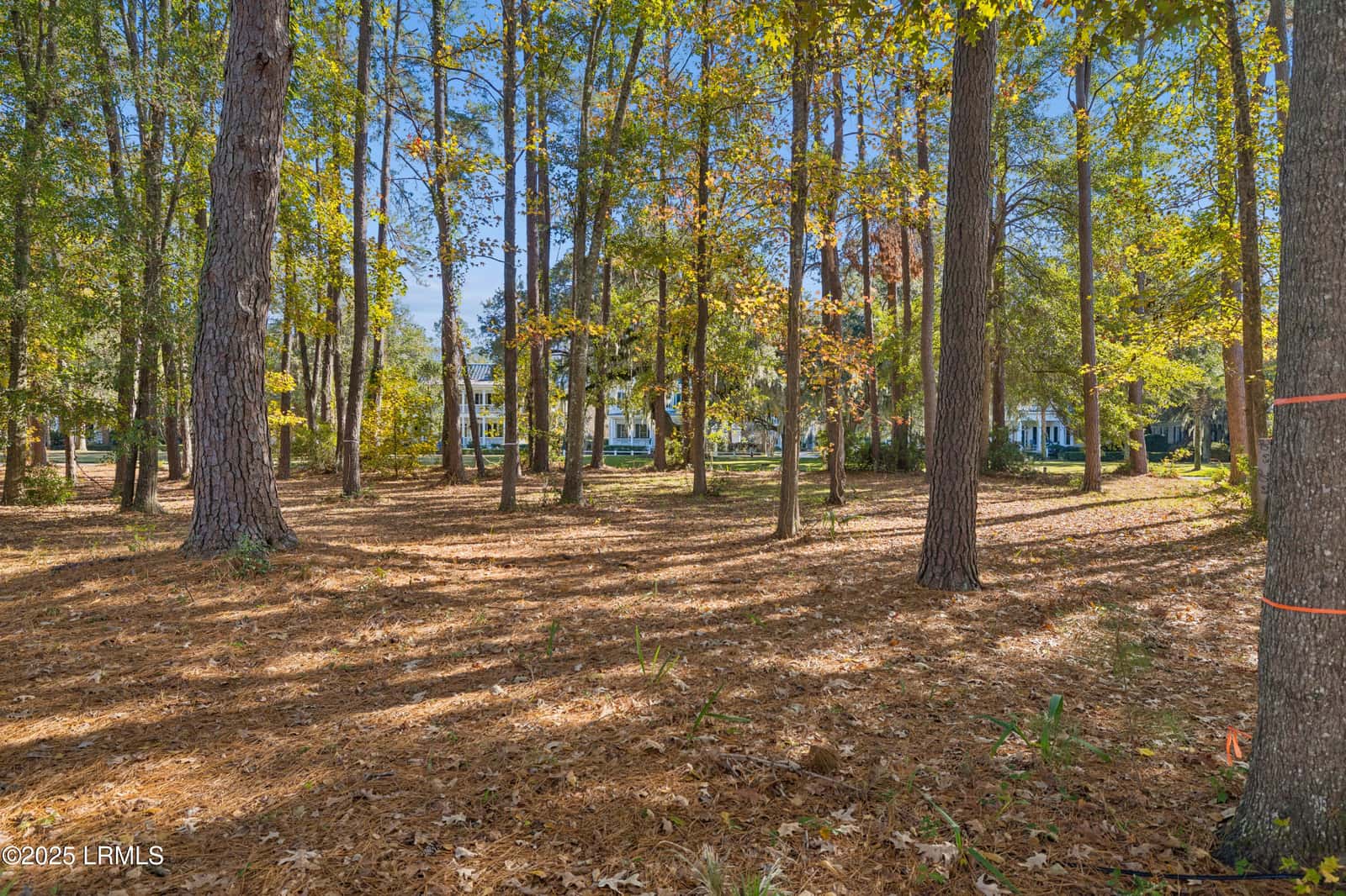 7 N Loudon, Beaufort, SC 29906 — photo 12 of 40