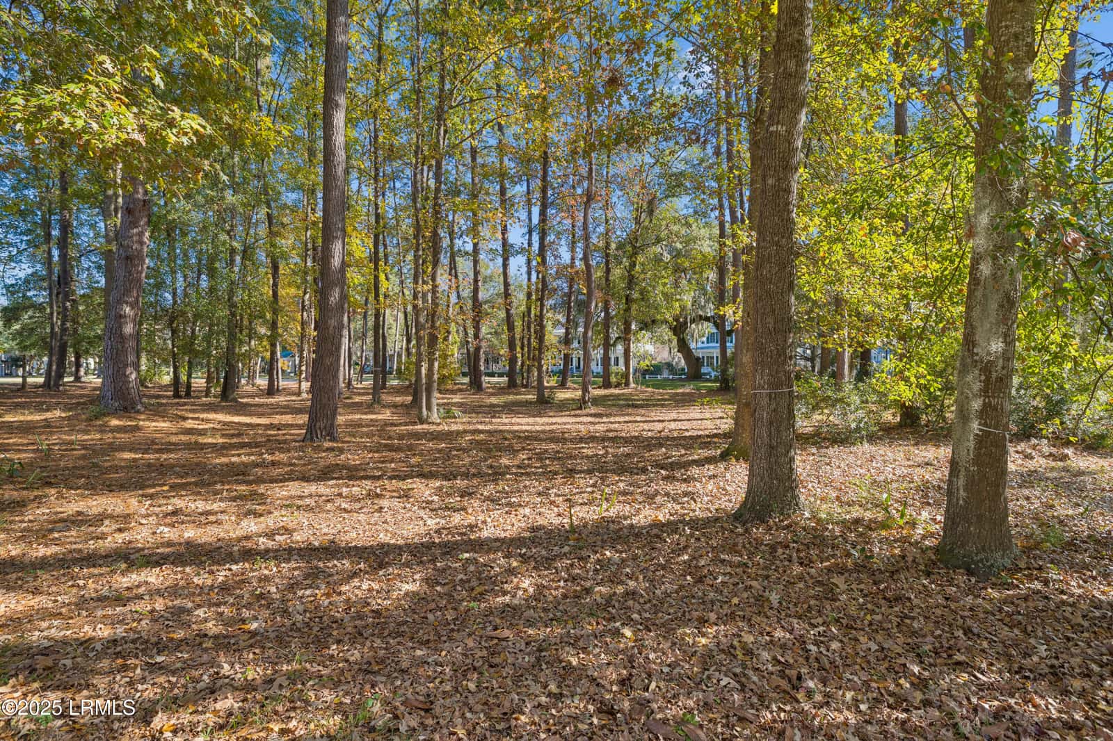 7 N Loudon, Beaufort, SC 29906 — photo 13 of 40