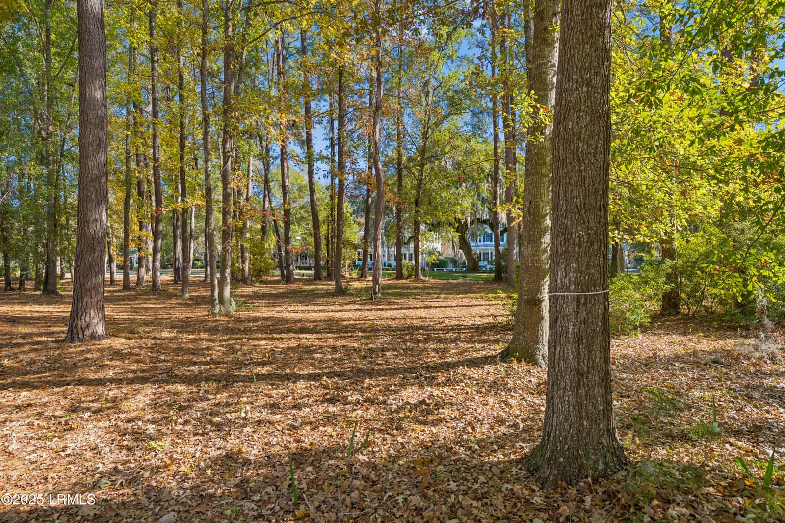 7 N Loudon, Beaufort, SC 29906 — photo 15 of 40