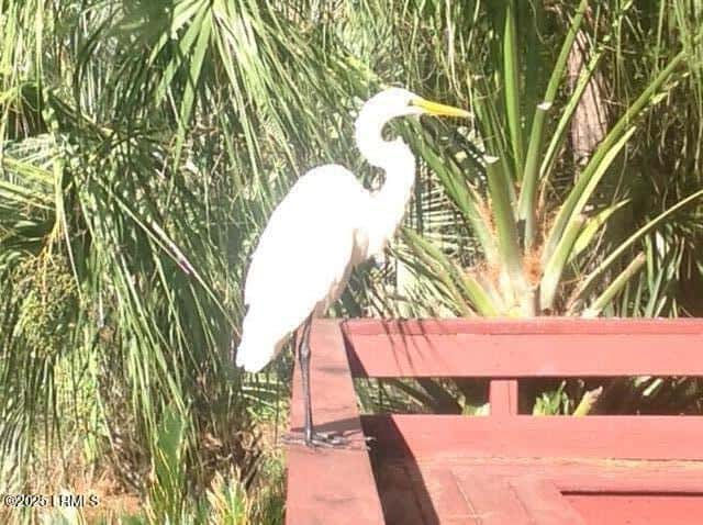 50 Callawassie Club Drive, Okatie, SC 29909 — photo 34 of 35