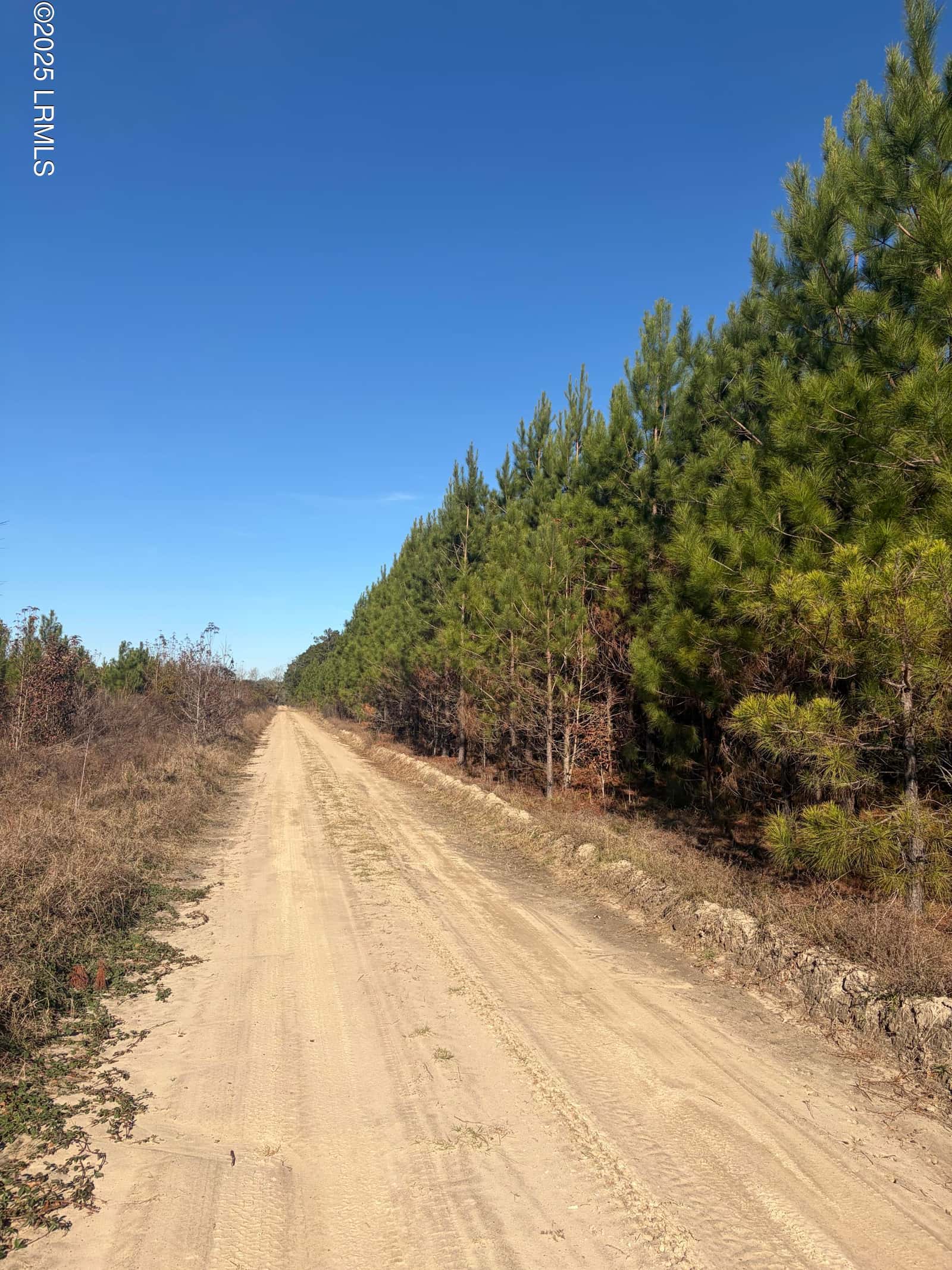 Tbd Orangeburg Road, Estill, SC 29939 — photo 1 of 31