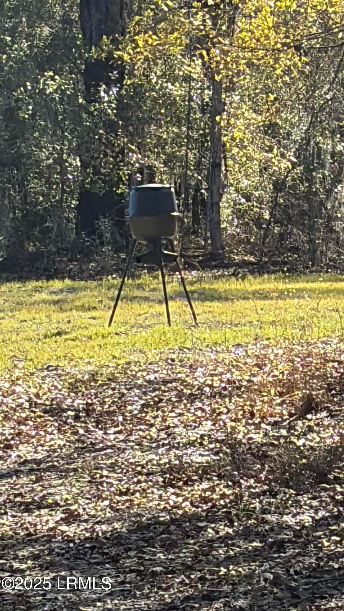 Tbd Orangeburg Road, Estill, SC 29939 — photo 2 of 31