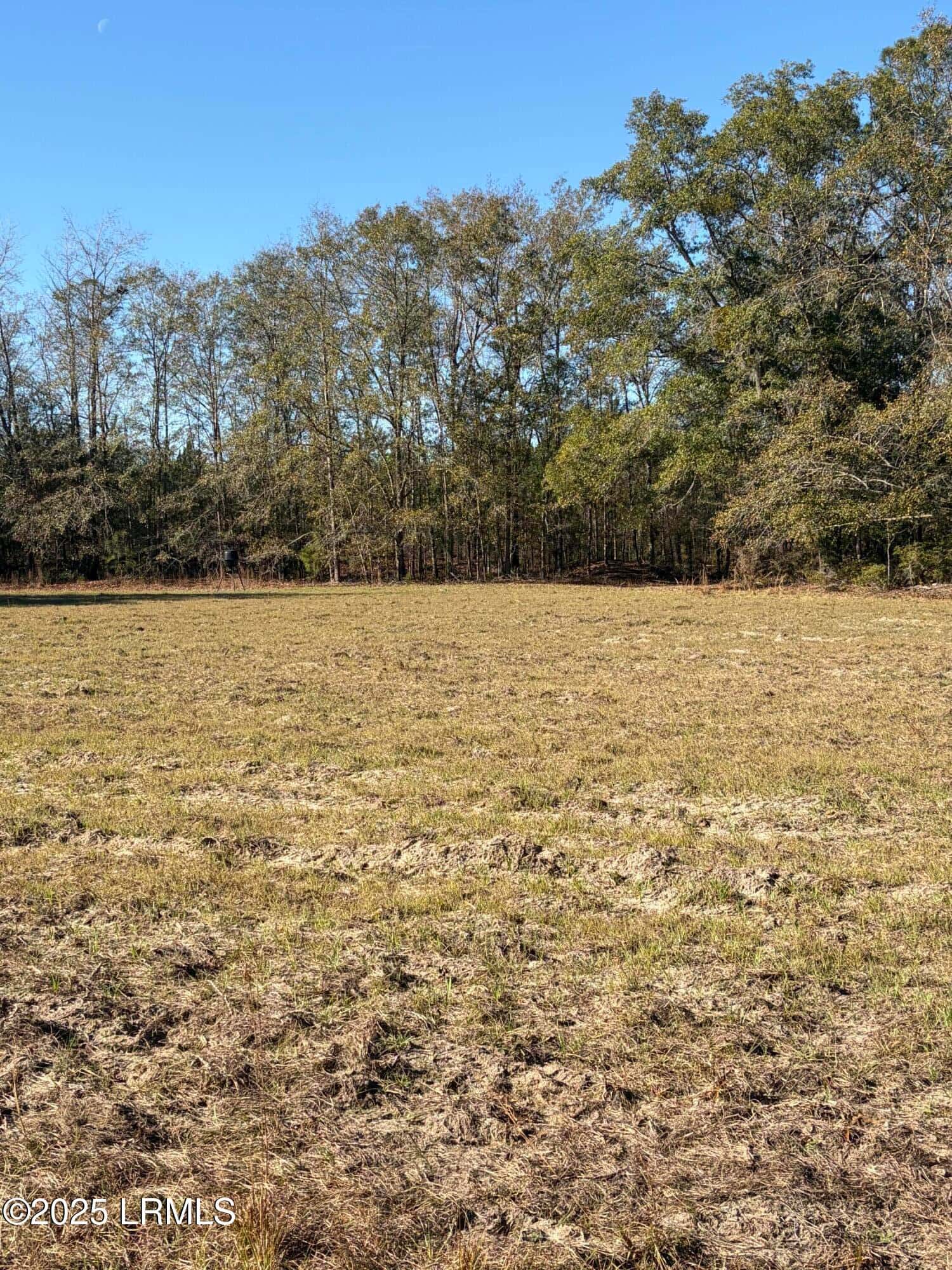 Tbd Orangeburg Road, Estill, SC 29939 — photo 3 of 31