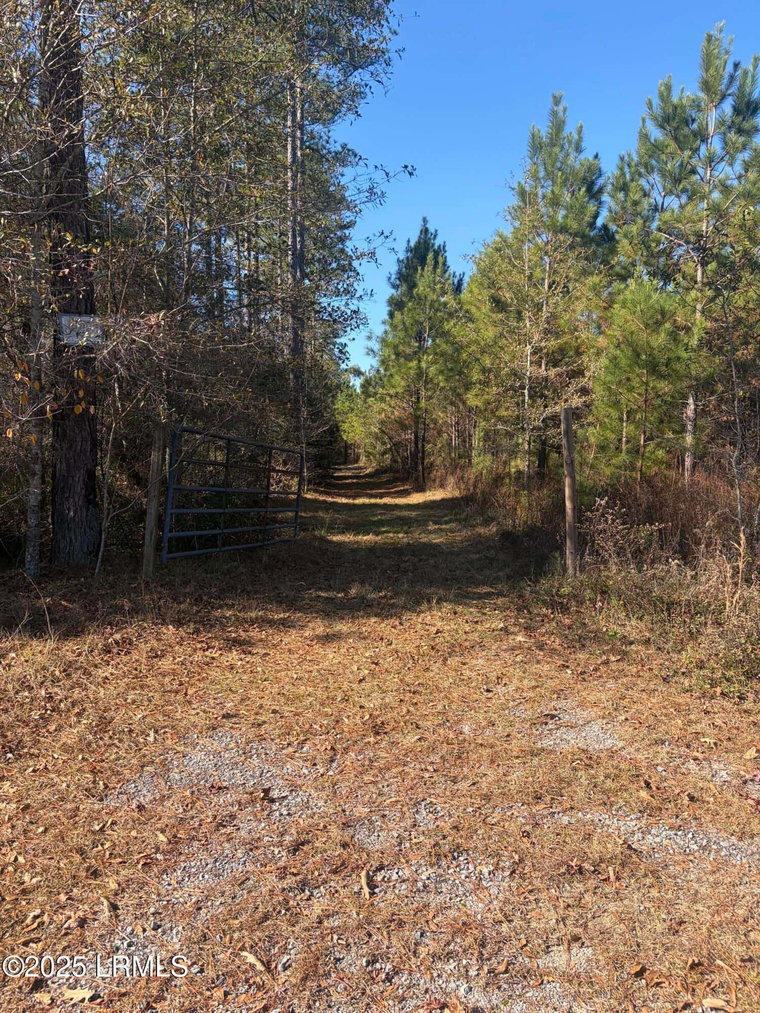 Tbd Orangeburg Road, Estill, SC 29939 — photo 5 of 31