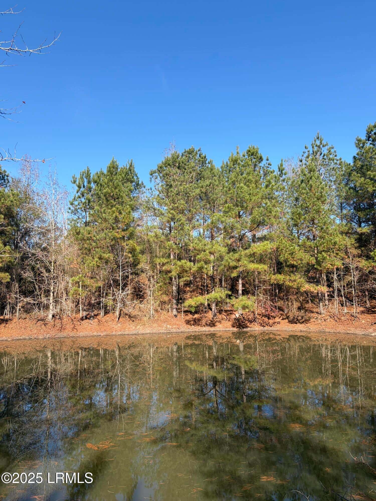 Tbd Orangeburg Road, Estill, SC 29939 — photo 7 of 31