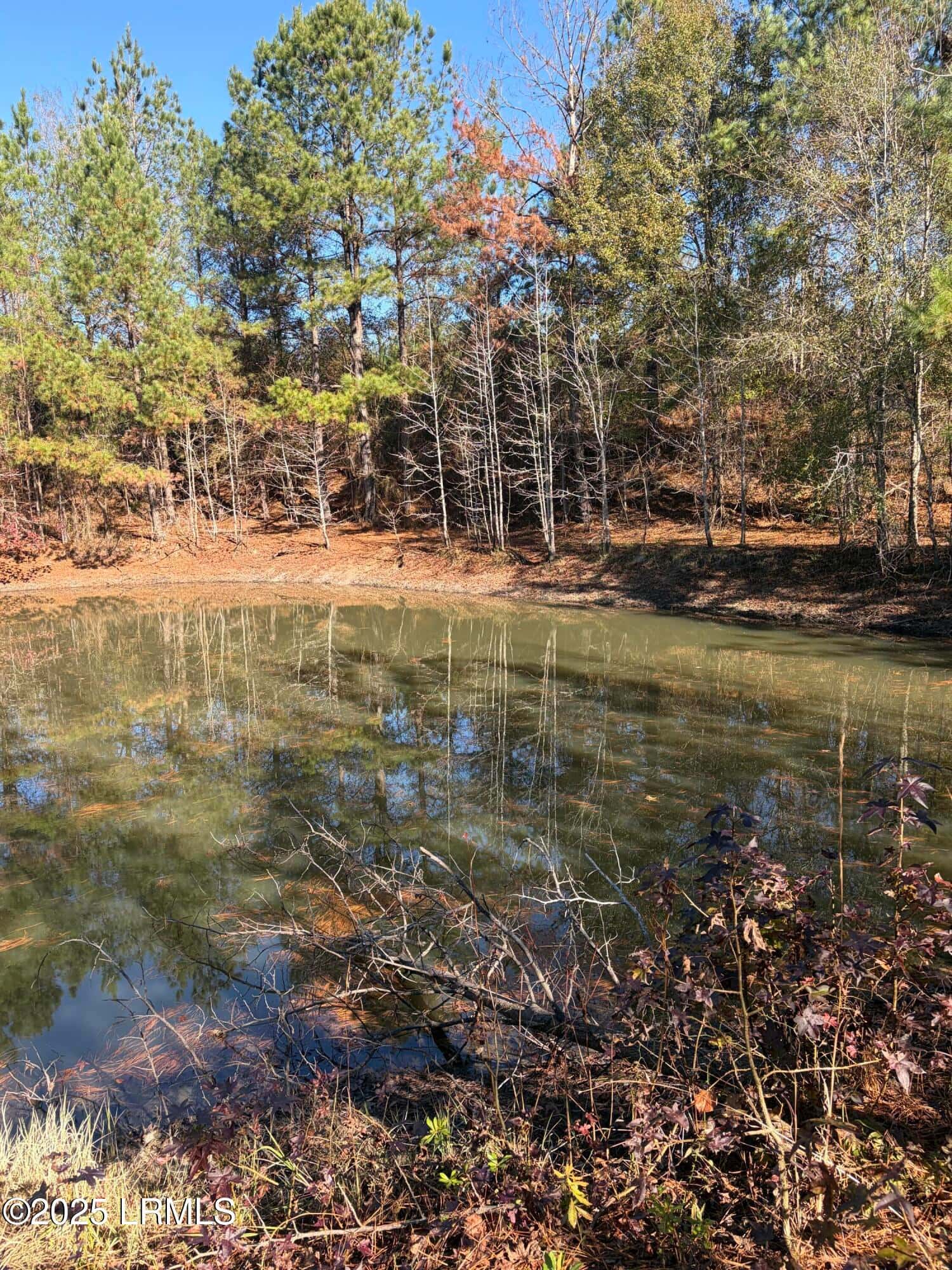Tbd Orangeburg Road, Estill, SC 29939 — photo 8 of 31