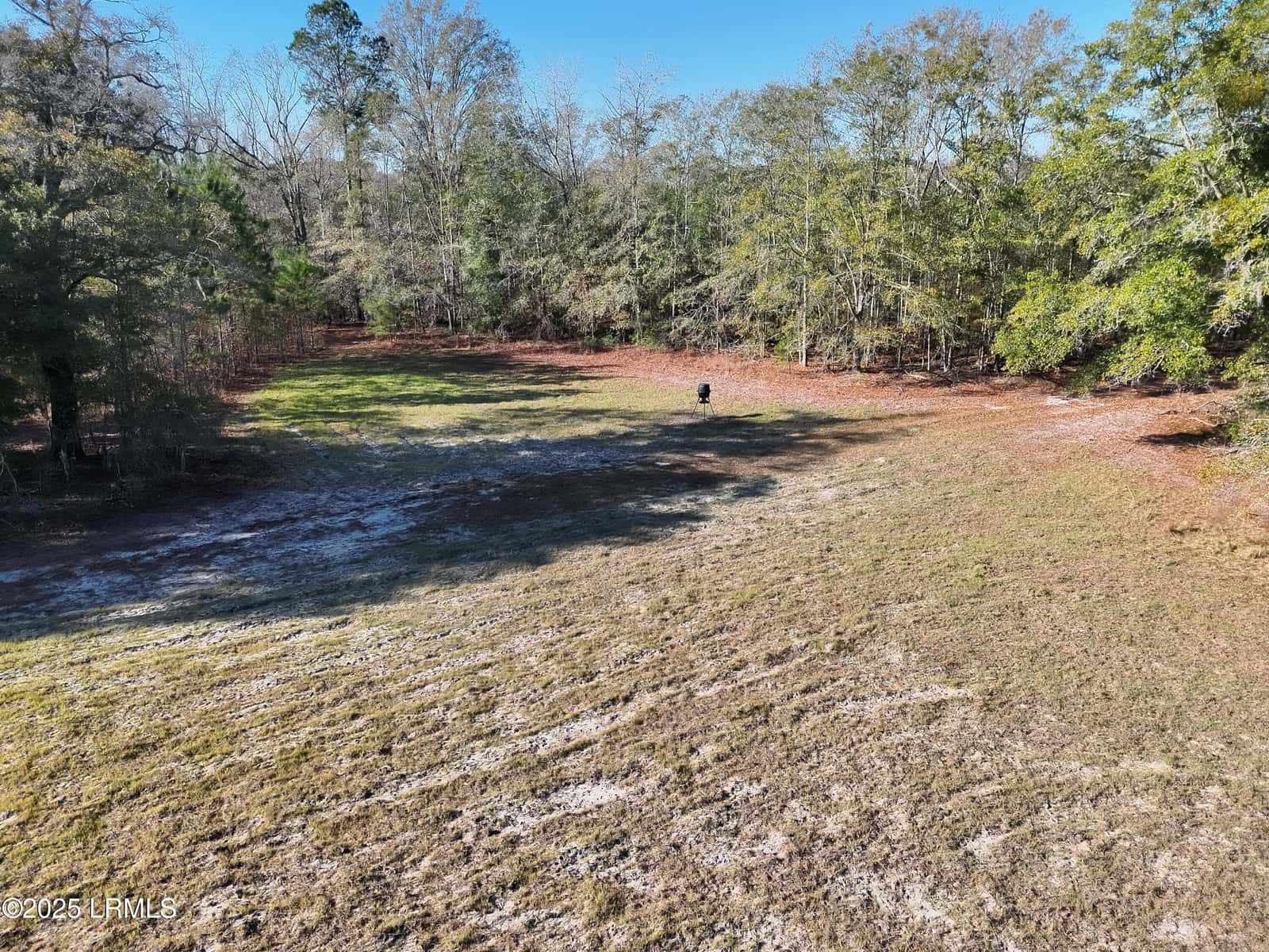 Tbd Orangeburg Road, Estill, SC 29939 — photo 16 of 31