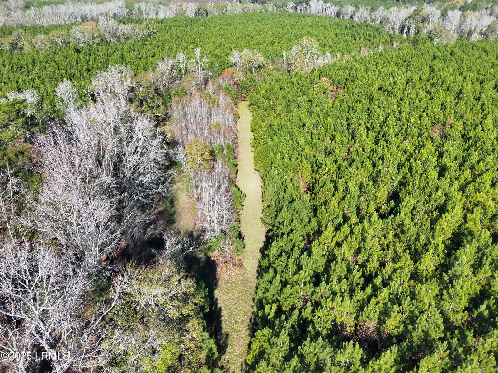 Tbd Orangeburg Road, Estill, SC 29939 — photo 19 of 31
