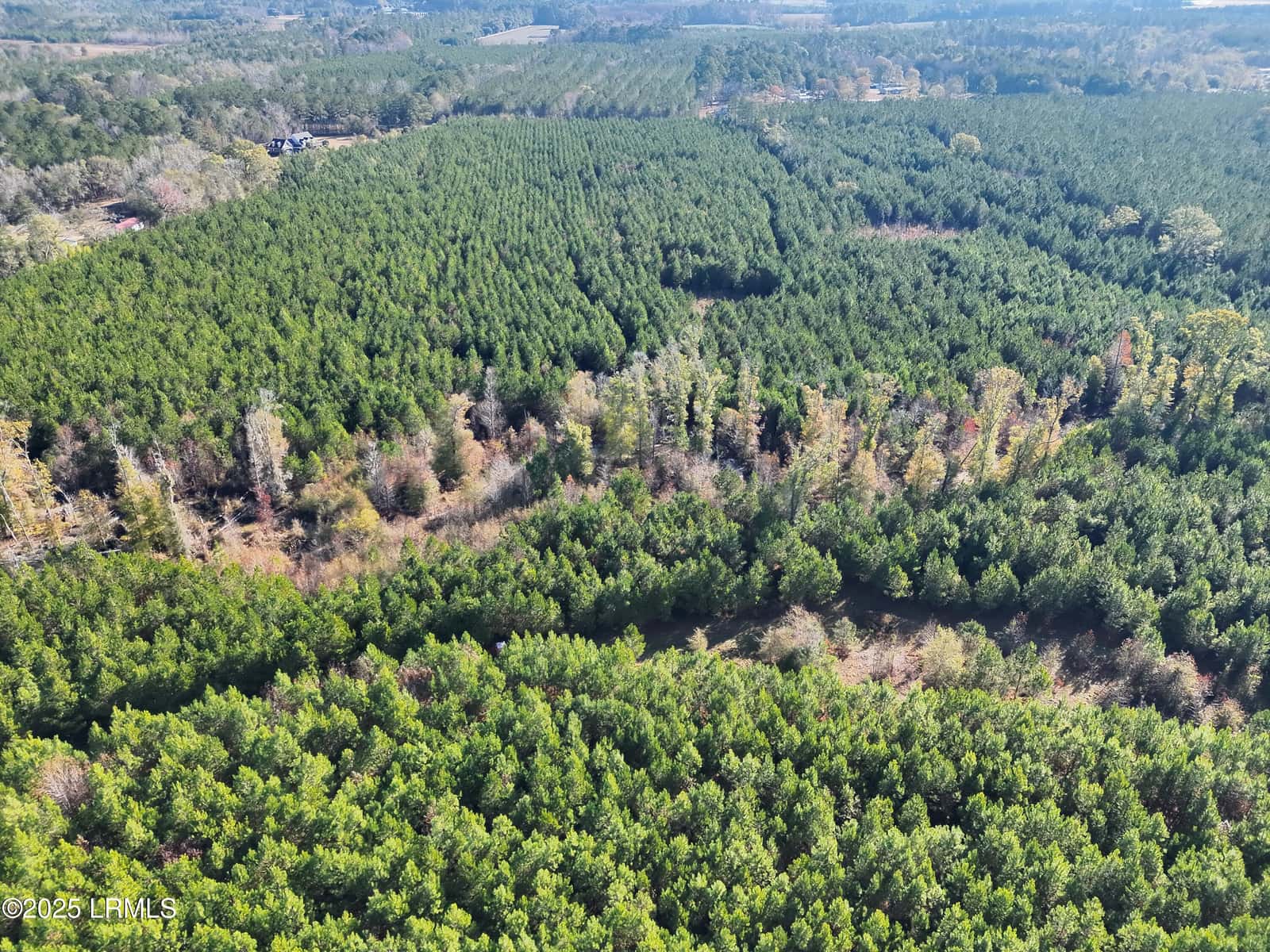 Tbd Orangeburg Road, Estill, SC 29939 — photo 20 of 31