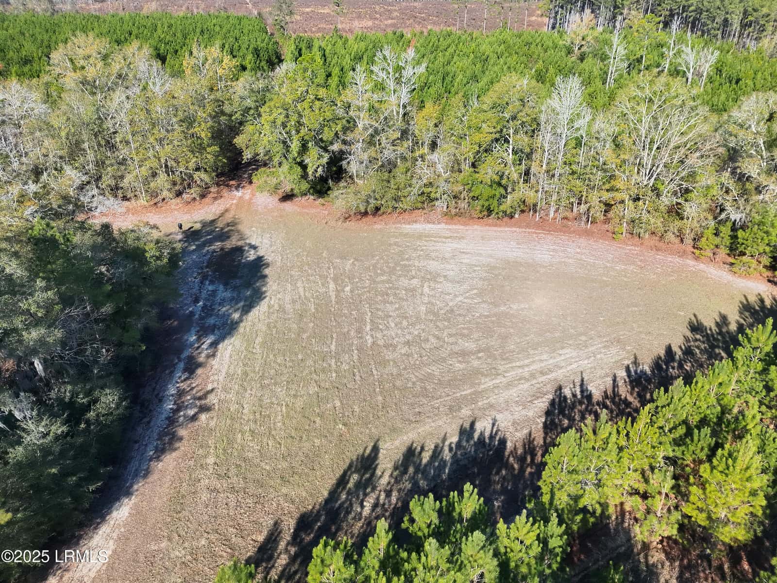 Tbd Orangeburg Road, Estill, SC 29939 — photo 26 of 31