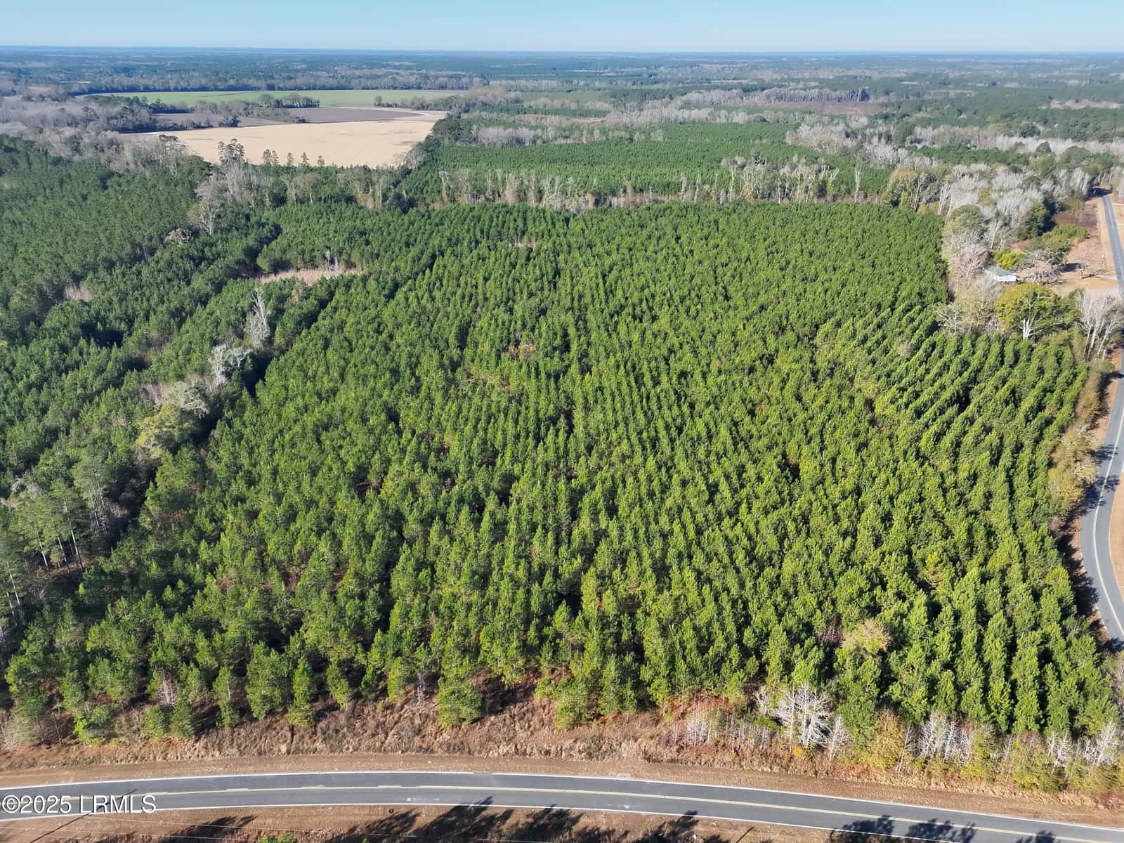 Tbd Orangeburg Road, Estill, SC 29939 — photo 28 of 31